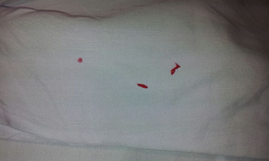 愛知洗い人｜愛知県染み抜きのできるクリーニング店紹介サイト