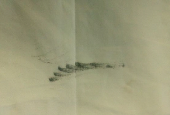 愛知洗い人｜愛知県染み抜きのできるクリーニング店紹介サイト