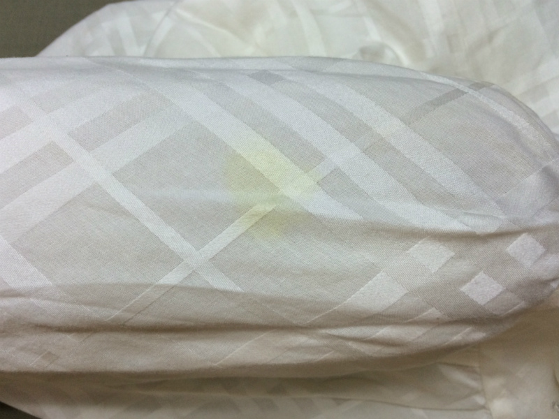 愛知洗い人｜愛知県染み抜きのできるクリーニング店紹介サイト