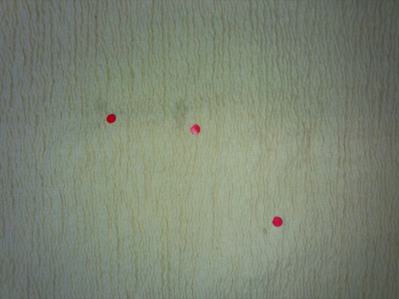 愛知洗い人｜愛知県染み抜きのできるクリーニング店紹介サイト