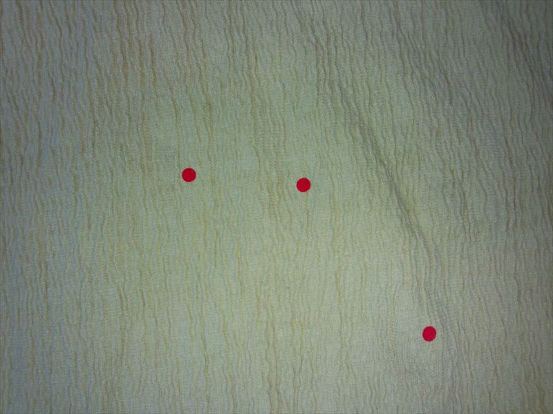 濡れたままにしておくのはご用心|愛知洗い人｜愛知県染み抜きのできるクリーニング店紹介サイト