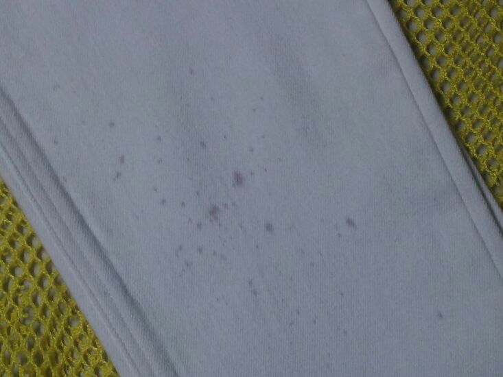 愛知洗い人｜愛知県染み抜きのできるクリーニング店紹介サイト