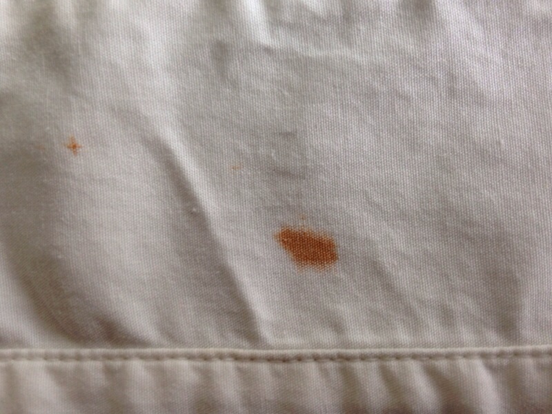 愛知洗い人｜愛知県染み抜きのできるクリーニング店紹介サイト