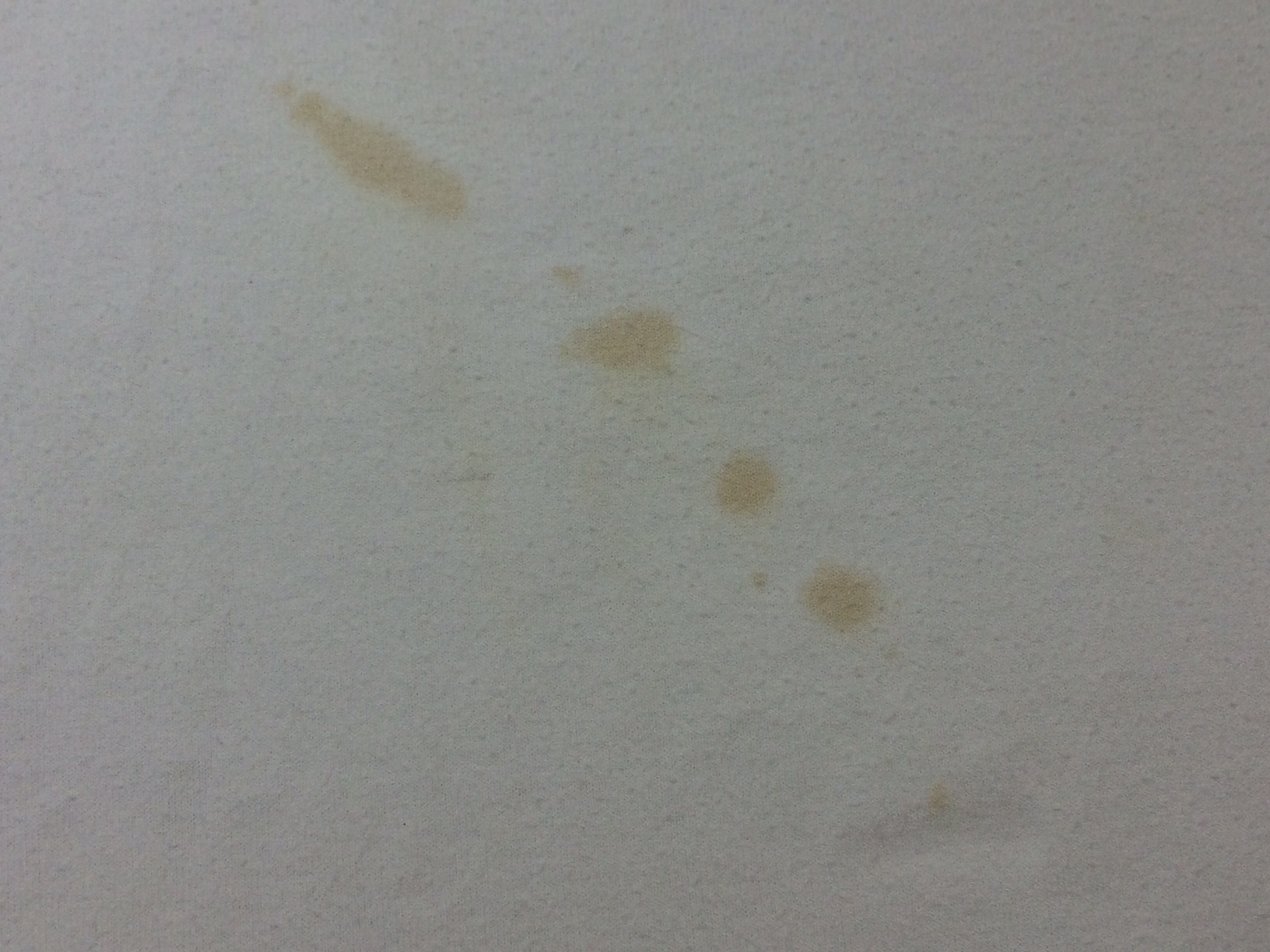 愛知洗い人｜愛知県染み抜きのできるクリーニング店紹介サイト