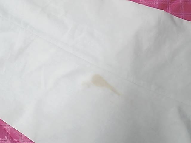 愛知洗い人｜愛知県染み抜きのできるクリーニング店紹介サイト