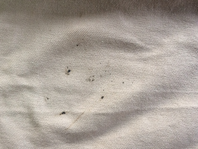 愛知洗い人｜愛知県染み抜きのできるクリーニング店紹介サイト