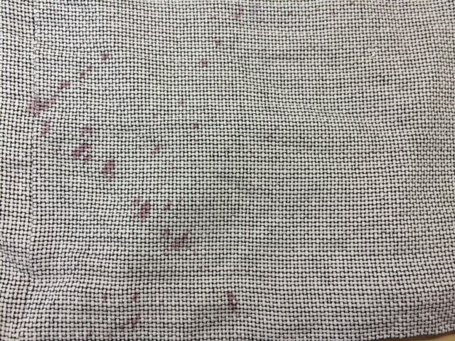 愛知洗い人｜愛知県染み抜きのできるクリーニング店紹介サイト