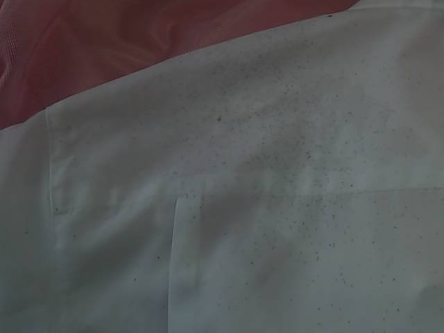 愛知洗い人｜愛知県染み抜きのできるクリーニング店紹介サイト