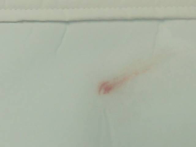 愛知洗い人｜愛知県染み抜きのできるクリーニング店紹介サイト