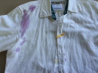 愛知洗い人｜愛知県染み抜きのできるクリーニング店紹介サイト