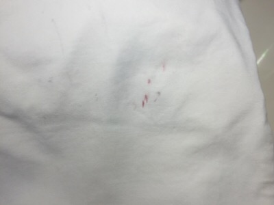 愛知洗い人｜愛知県染み抜きのできるクリーニング店紹介サイト