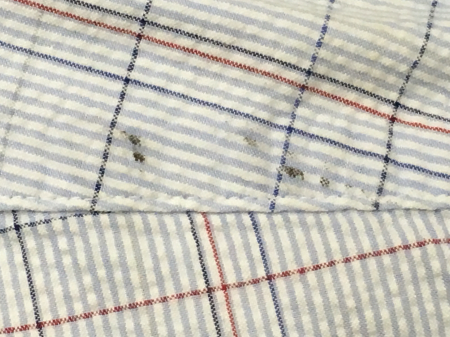 愛知洗い人｜愛知県染み抜きのできるクリーニング店紹介サイト