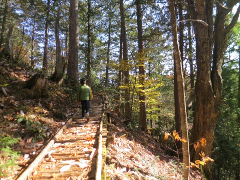 愛知洗い人｜愛知県染み抜きのできるクリーニング店紹介サイト