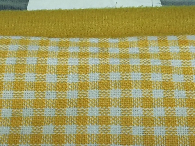 カーペットに発生した黒カビを綺麗にします　岡崎市のお客様|愛知洗い人｜愛知県染み抜きのできるクリーニング店紹介サイト