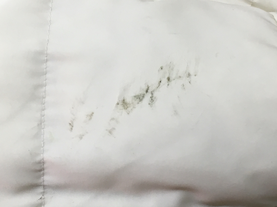 愛知洗い人｜愛知県染み抜きのできるクリーニング店紹介サイト