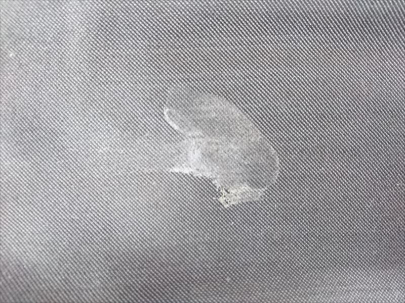 愛知洗い人｜愛知県染み抜きのできるクリーニング店紹介サイト