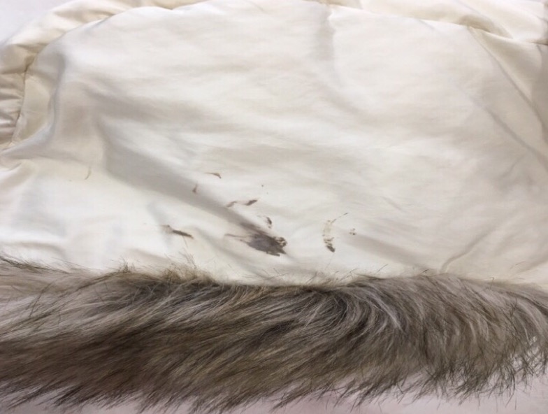 愛知洗い人｜愛知県染み抜きのできるクリーニング店紹介サイト