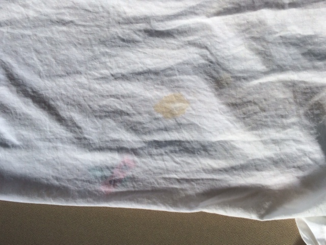 愛知洗い人｜愛知県染み抜きのできるクリーニング店紹介サイト