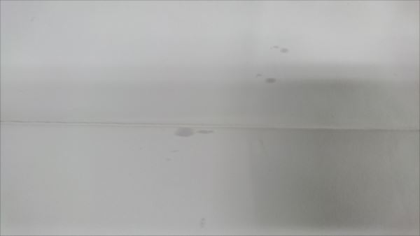 愛知洗い人｜愛知県染み抜きのできるクリーニング店紹介サイト