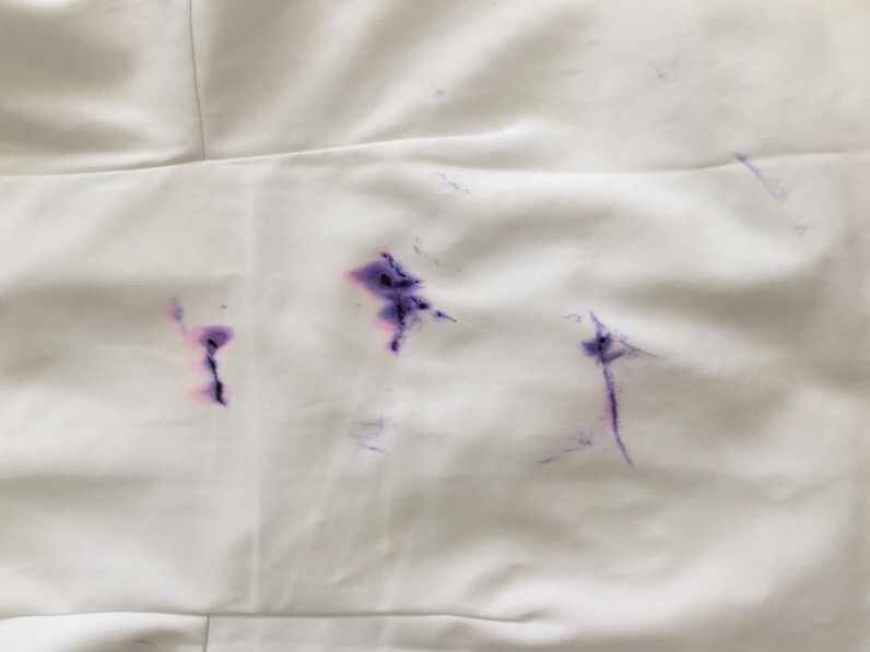 愛知洗い人｜愛知県染み抜きのできるクリーニング店紹介サイト