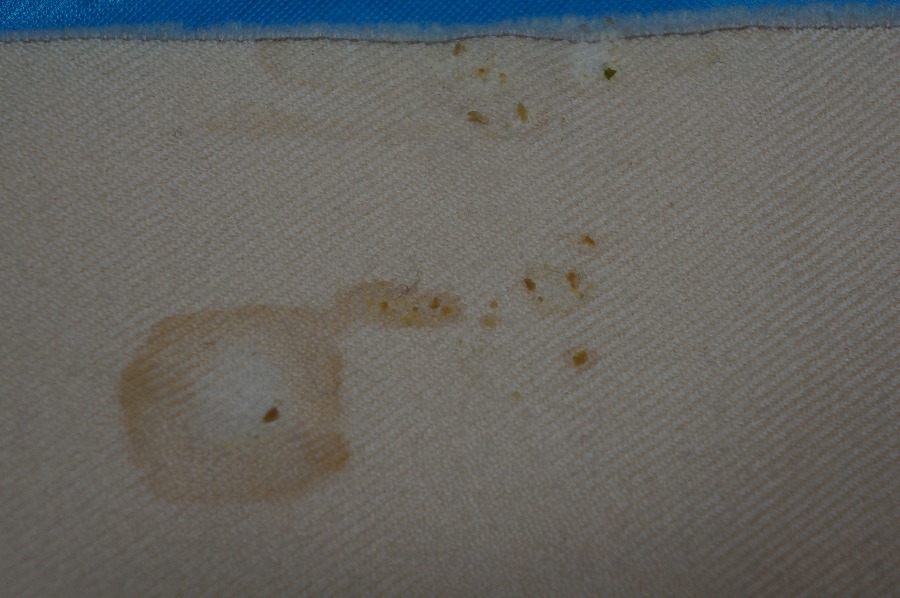 愛知洗い人｜愛知県染み抜きのできるクリーニング店紹介サイト