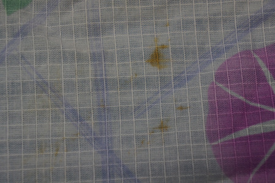 愛知洗い人｜愛知県染み抜きのできるクリーニング店紹介サイト