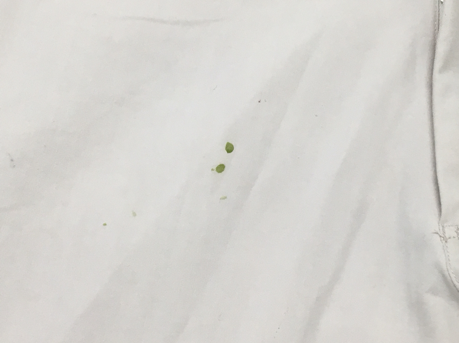 愛知洗い人｜愛知県染み抜きのできるクリーニング店紹介サイト