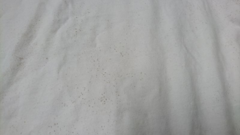 愛知洗い人｜愛知県染み抜きのできるクリーニング店紹介サイト