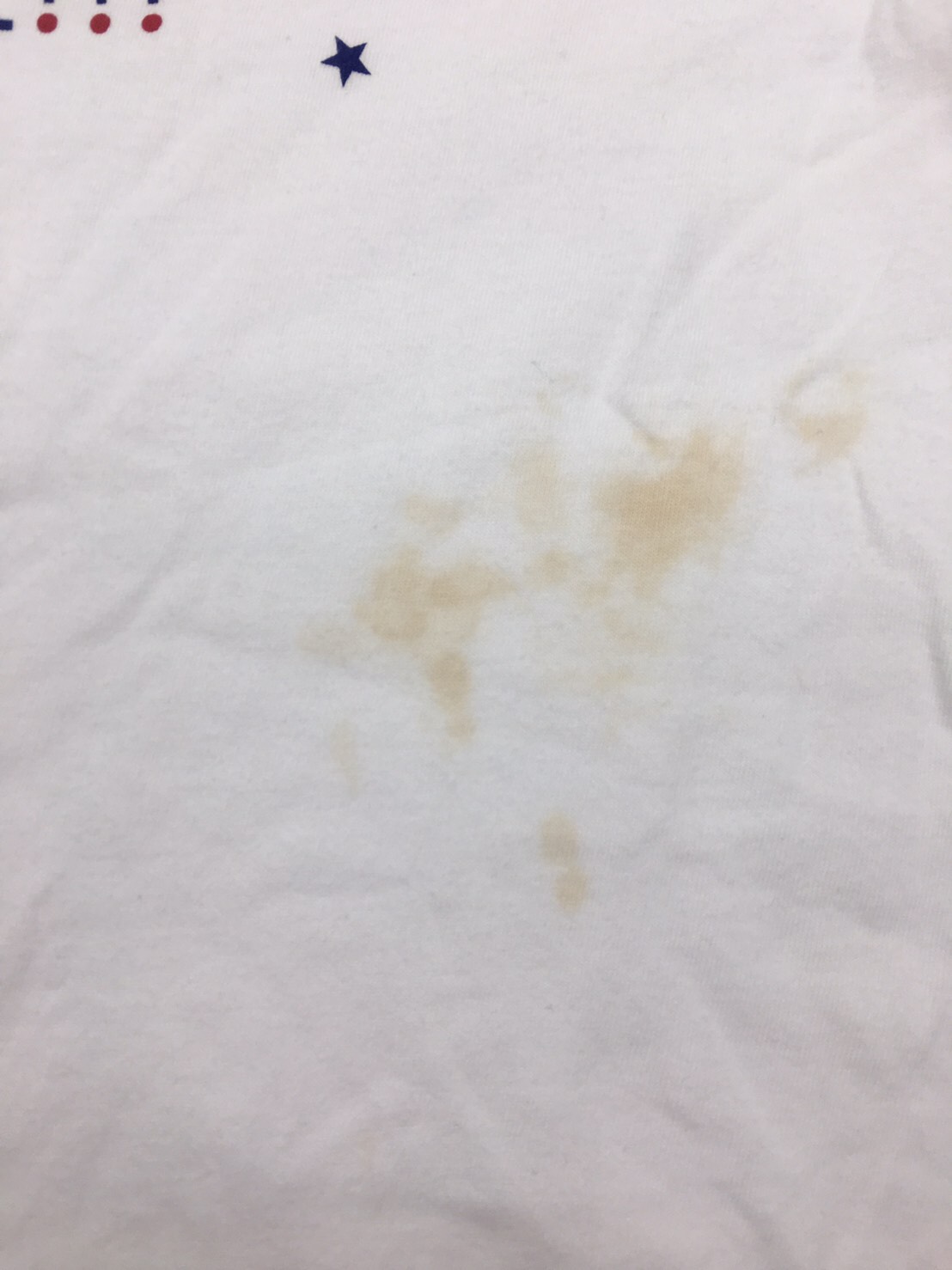 愛知洗い人｜愛知県染み抜きのできるクリーニング店紹介サイト