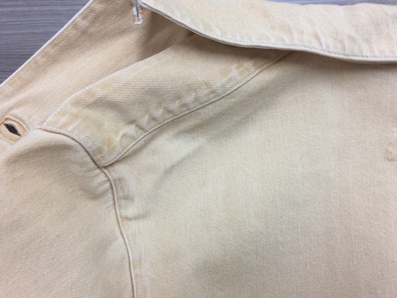 ジャケットについたカビのシミ&同業者乗り鉄仲間とナゴヤドームへ行く②〜野球観戦編〜|愛知洗い人｜愛知県染み抜きのできるクリーニング店紹介サイト