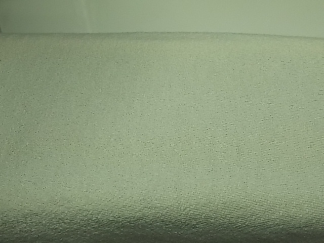 大きさ１㎜のシミ？変色？|愛知洗い人｜愛知県染み抜きのできるクリーニング店紹介サイト