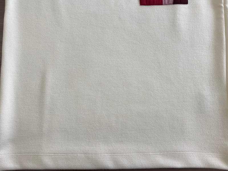 シミが付いたらお早めにどうぞ&店主　豊橋鉄道　市内線に乗る|愛知洗い人｜愛知県染み抜きのできるクリーニング店紹介サイト