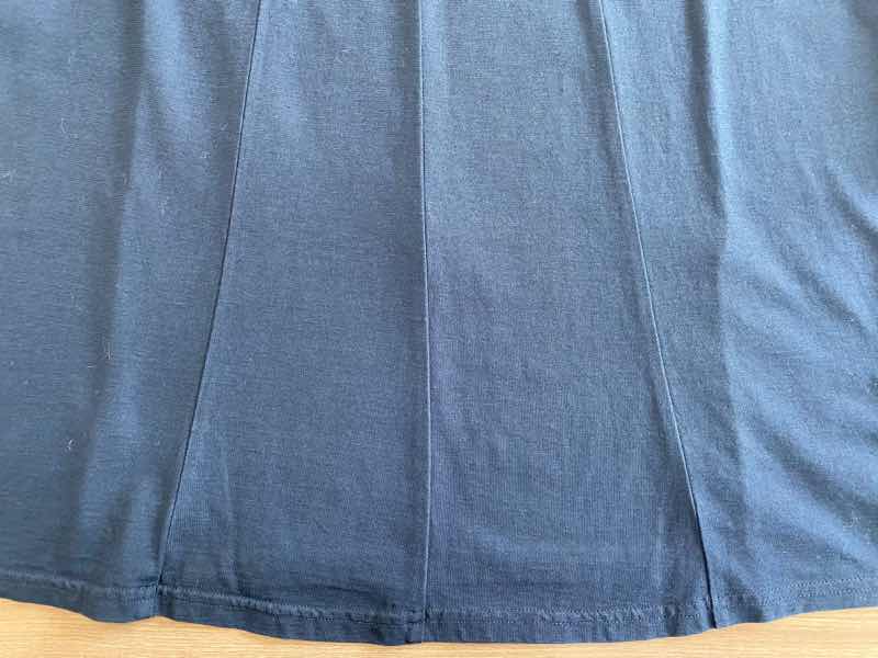 たまにはリセットしましょう&店主　三重・滋賀・ちょい京都・また滋賀・岐阜ぐるっと鉄旅②〜113系編〜|愛知洗い人｜愛知県染み抜きのできるクリーニング店紹介サイト