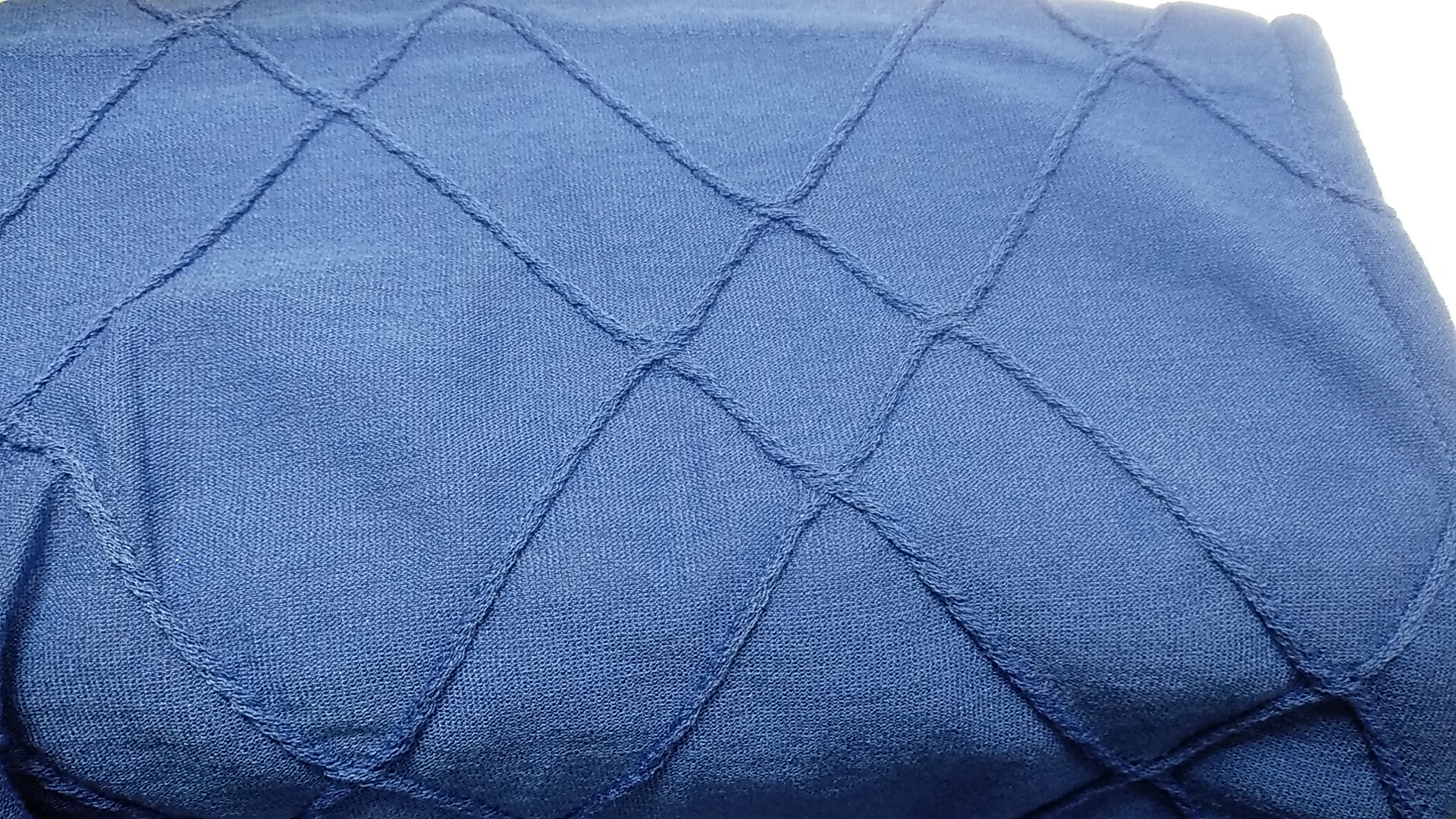 シミだと思ったら色抜けでした でも出来ませんとは言いたく有りません  何とかします！|愛知洗い人｜愛知県染み抜きのできるクリーニング店紹介サイト