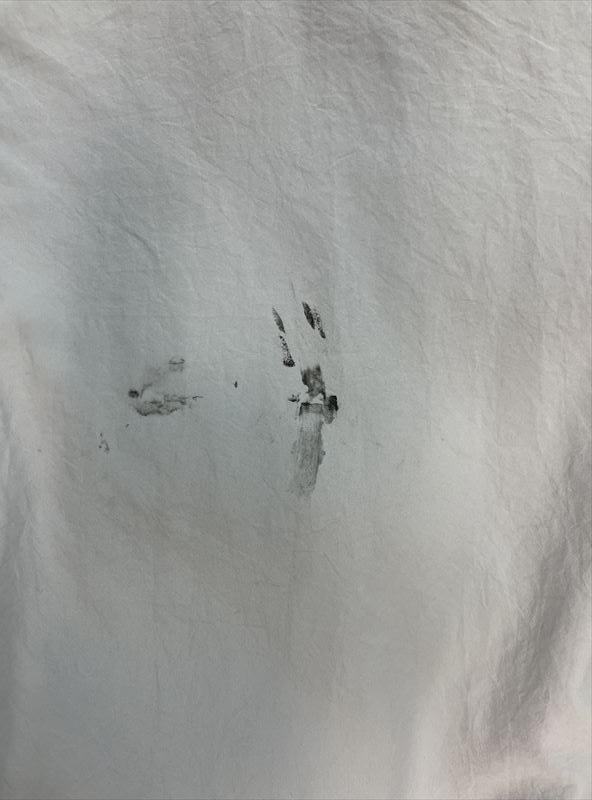 愛知洗い人｜愛知県染み抜きのできるクリーニング店紹介サイト