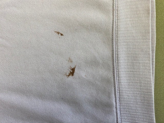 愛知洗い人｜愛知県染み抜きのできるクリーニング店紹介サイト