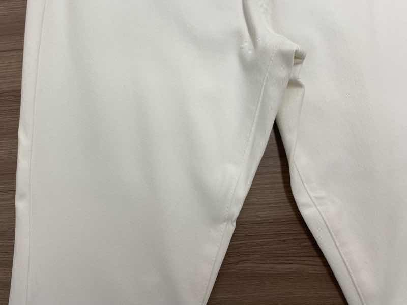 パンツに付いたスープのシミ& ◎おまけコーナー（残り少なくなった国鉄型の車両）|愛知洗い人｜愛知県染み抜きのできるクリーニング店紹介サイト