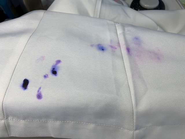 愛知洗い人｜愛知県染み抜きのできるクリーニング店紹介サイト