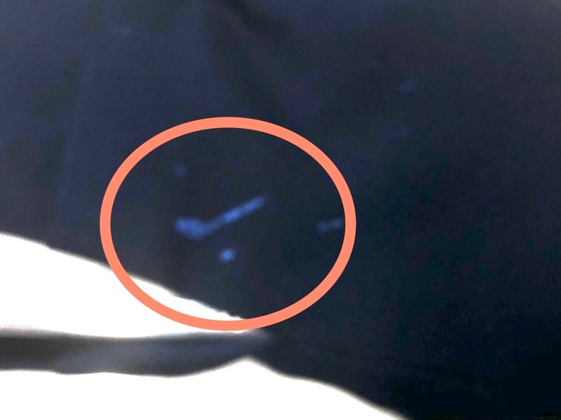 愛知洗い人｜愛知県染み抜きのできるクリーニング店紹介サイト