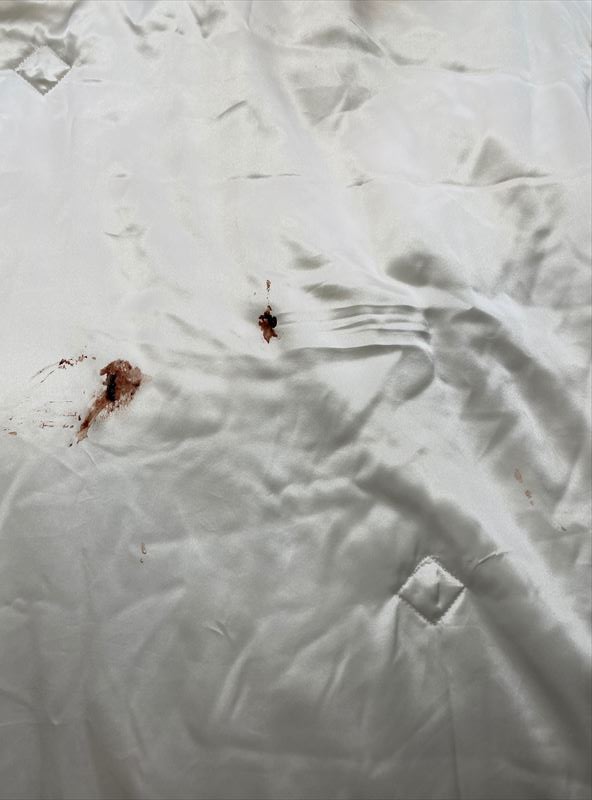 愛知洗い人｜愛知県染み抜きのできるクリーニング店紹介サイト