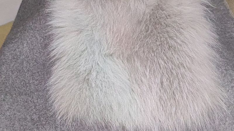 愛知洗い人｜愛知県染み抜きのできるクリーニング店紹介サイト