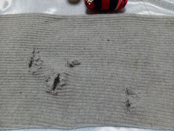 愛知洗い人｜愛知県染み抜きのできるクリーニング店紹介サイト