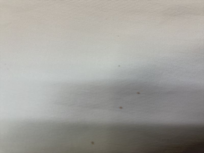 愛知洗い人｜愛知県染み抜きのできるクリーニング店紹介サイト