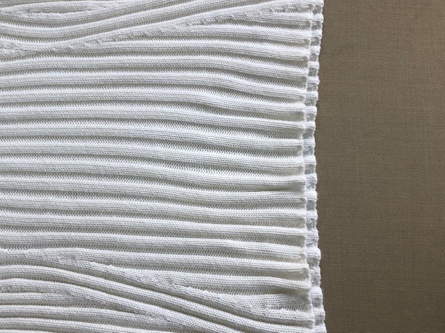 漂白しても落ちない染み　あま市M様|愛知洗い人｜愛知県染み抜きのできるクリーニング店紹介サイト