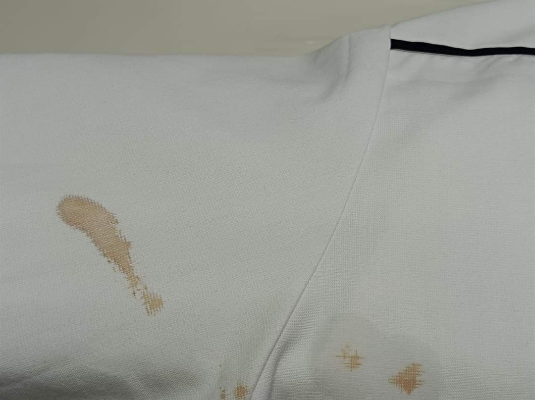 愛知洗い人｜愛知県染み抜きのできるクリーニング店紹介サイト