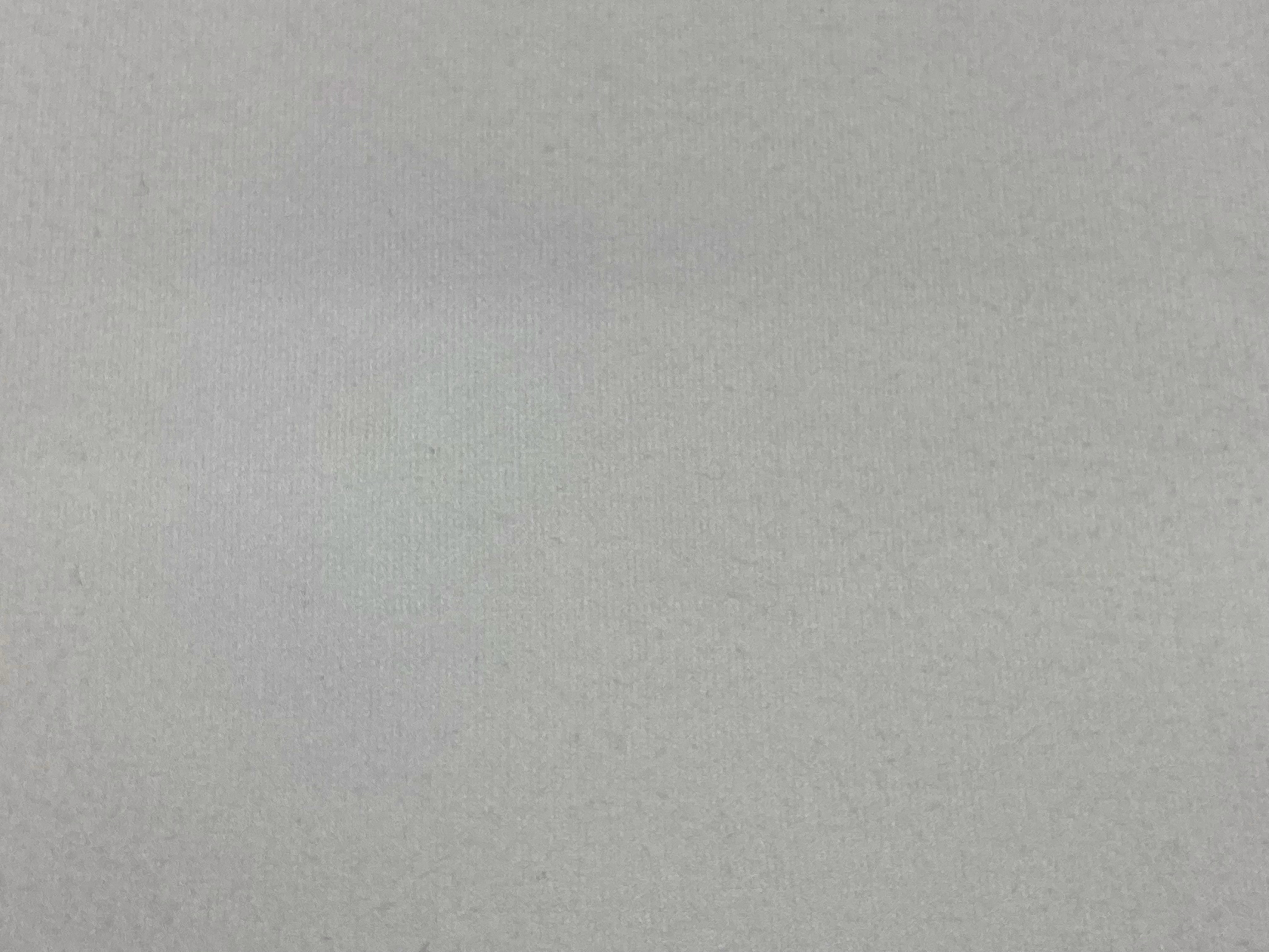 ネギには注意！|愛知洗い人｜愛知県染み抜きのできるクリーニング店紹介サイト