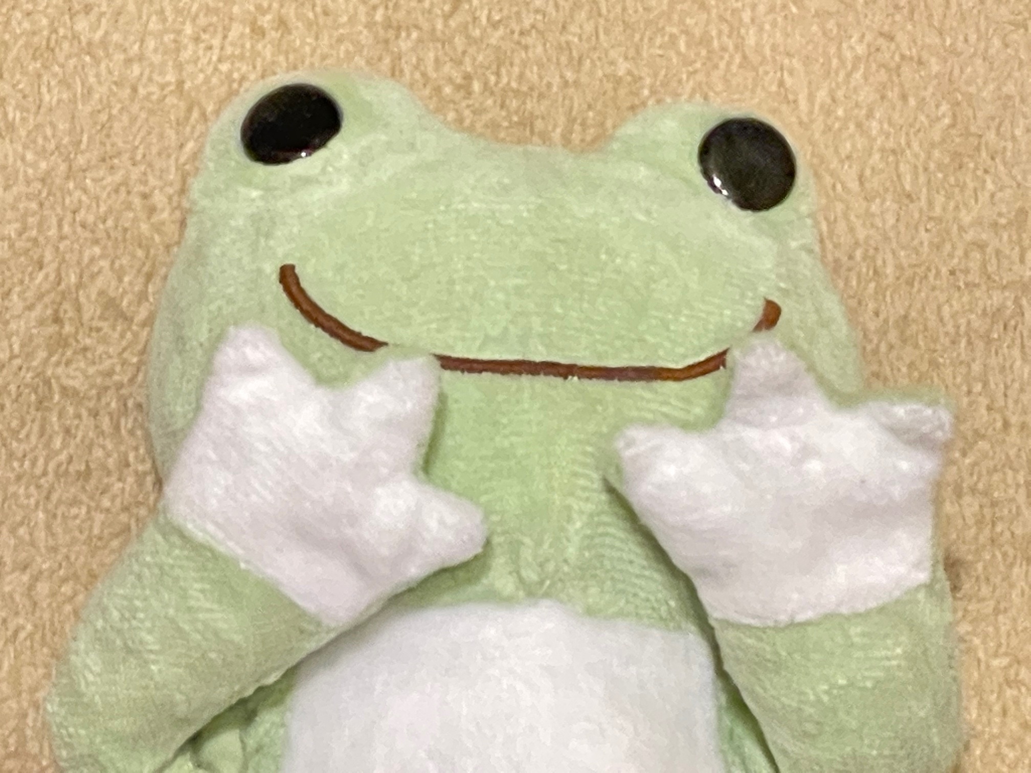 小さい頃からの想いでのぬいぐるみを蘇らせたい！　全国からぬいぐるみの修理・クリ―ニング多数！|愛知洗い人｜愛知県染み抜きのできるクリーニング店紹介サイト