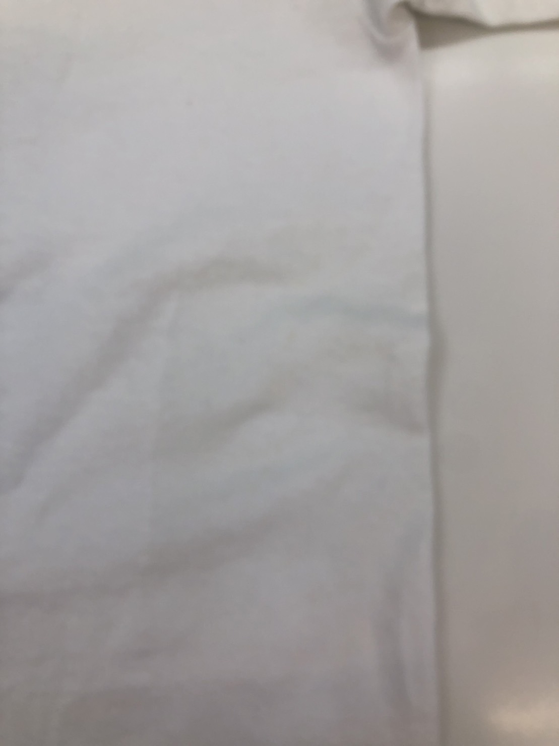 案外落ちないキムチのシミ|愛知洗い人｜愛知県染み抜きのできるクリーニング店紹介サイト