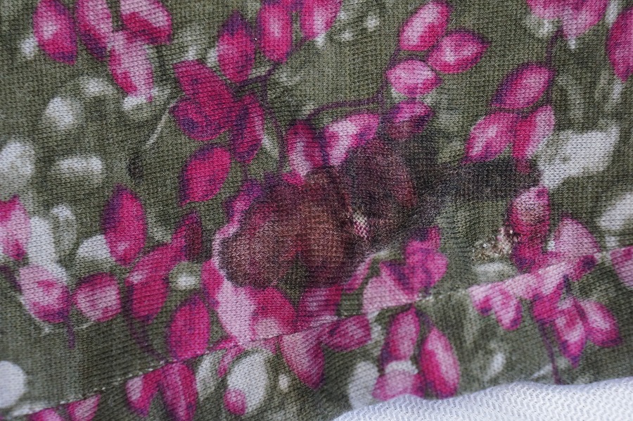 愛知洗い人｜愛知県染み抜きのできるクリーニング店紹介サイト