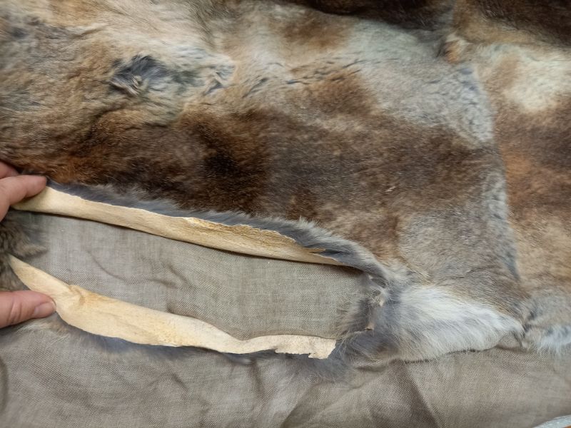 愛知洗い人｜愛知県染み抜きのできるクリーニング店紹介サイト